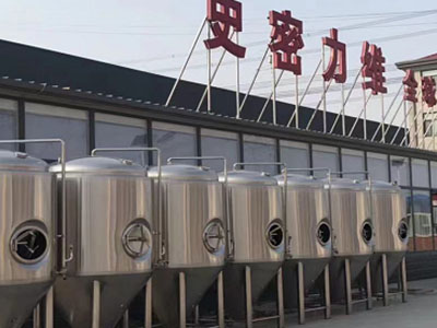 阿尔山精酿啤酒设备厂—如何判断精酿啤酒设备的密封件需要更换？